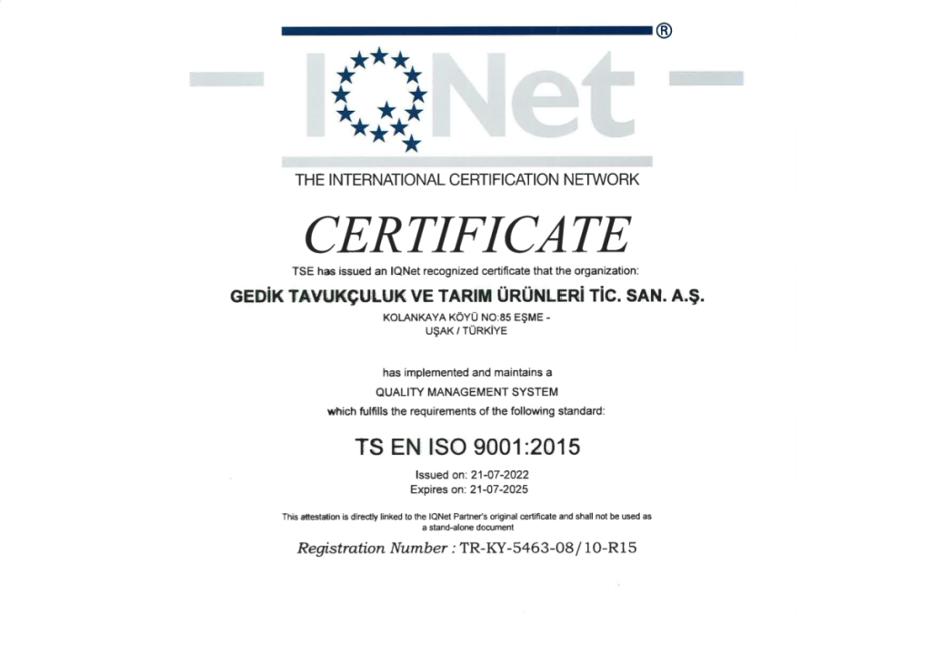 25 iso belge 1200x1200 resize